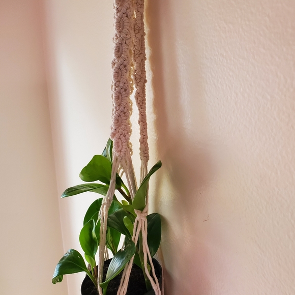 Macrame Plant Hanger (Diamond style) - Picture 4 of 7